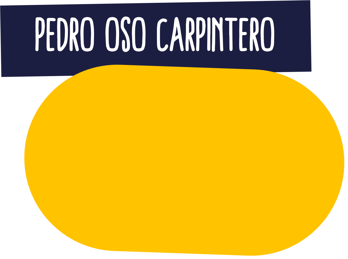 titulo